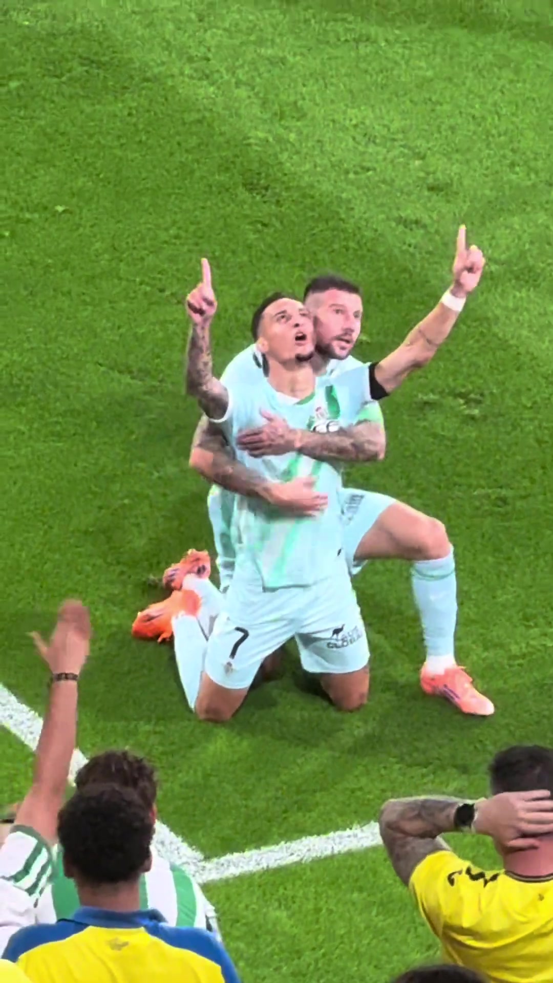 敢袭击圆神安东尼庆祝时遭球迷扔水瓶 敢袭击圆神安东尼庆祝时遭球迷扔水瓶